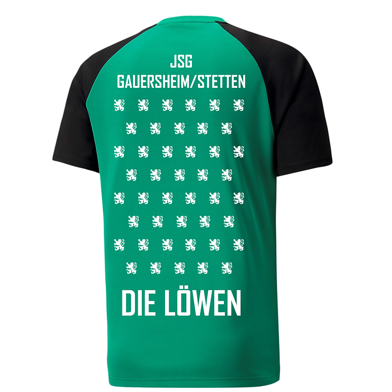 4 Teile Puma-Set ERWACHSENE