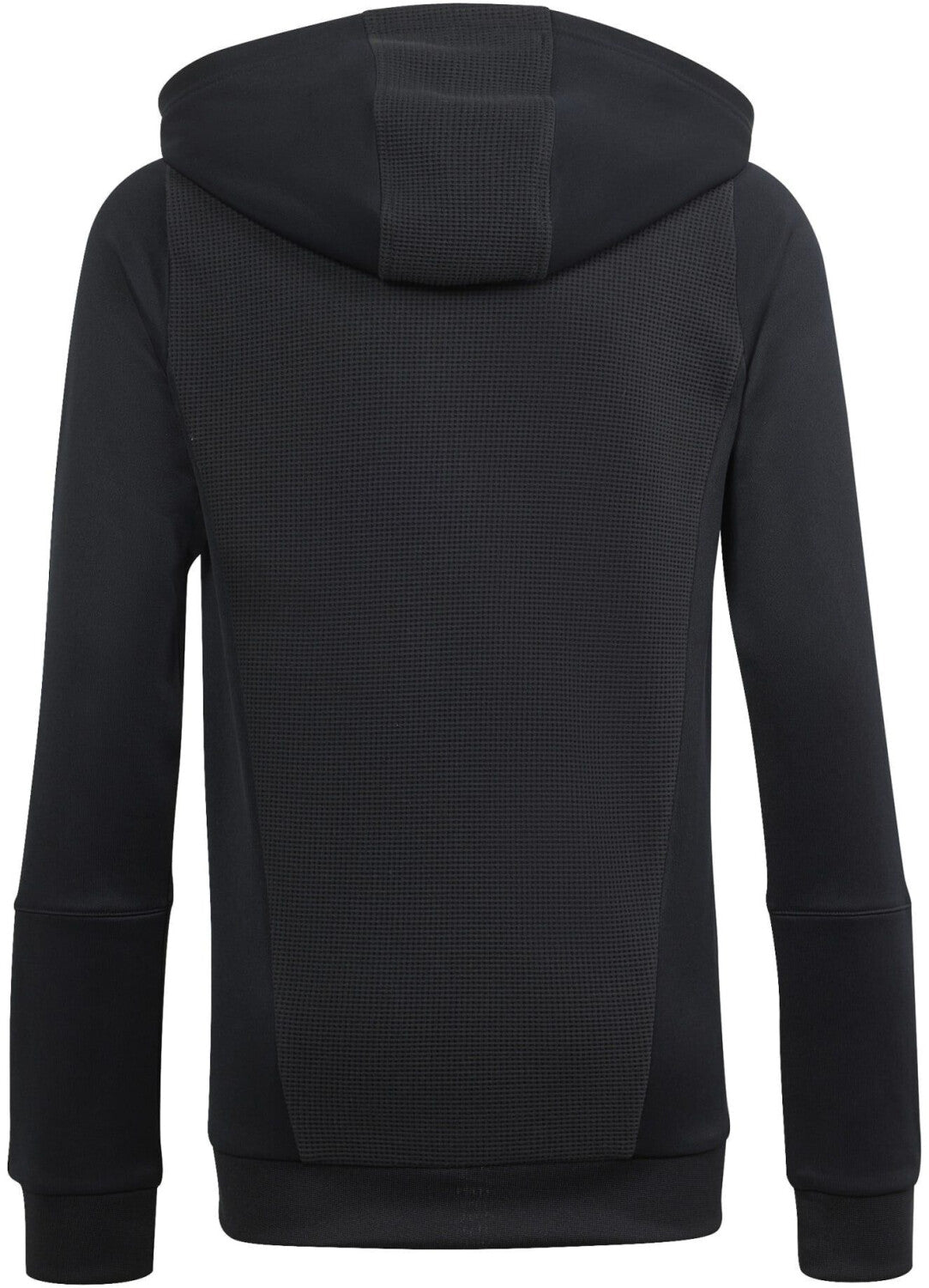 Kids ADIDAS TIRO23 Competition Hoody inkl. FC Erlenbach Wappen