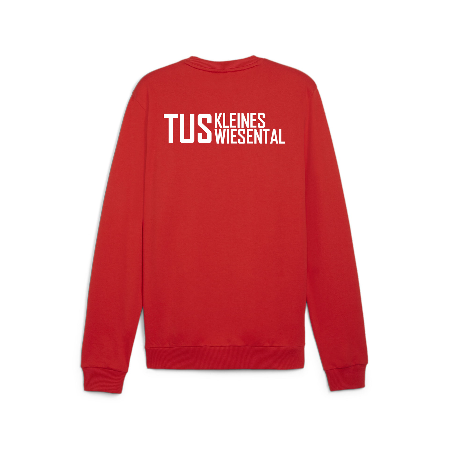 PUMA Kids teamGOAL Crew Neck Sweat inkl. TuS Kleines Wiesental Wappen & Vereinsname Rücken