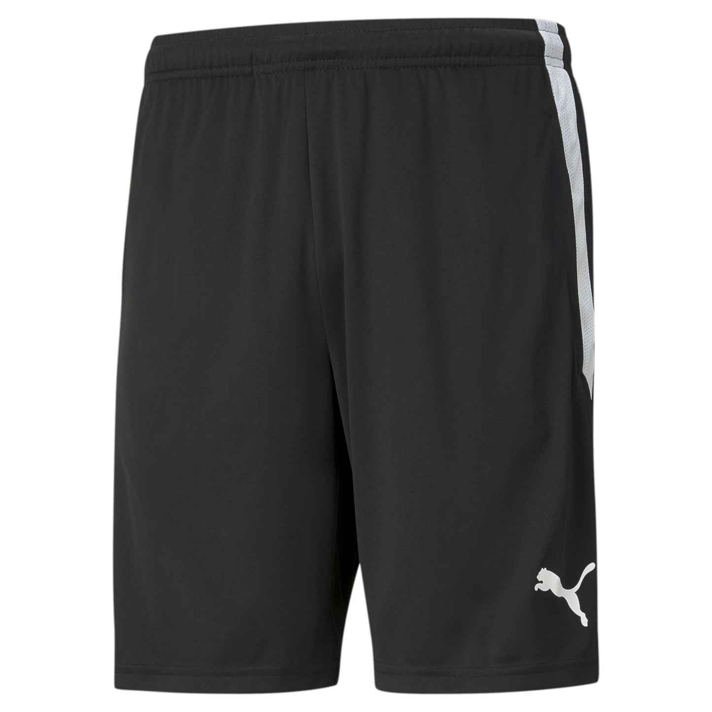 #TRAINING - PUMA Training Shorts - FC Speyer 09