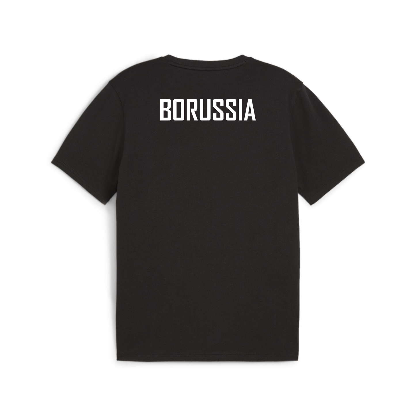 PUMA Herren teamGOAL Casuals Tee inkl. Borussia Neunkirchen Wappen